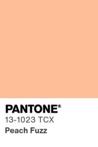 Pantone Peach Fuzz